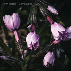 Ohm Homie - Some Song