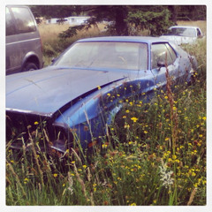 NEW DEAD TRANSPORT DEVICES 001