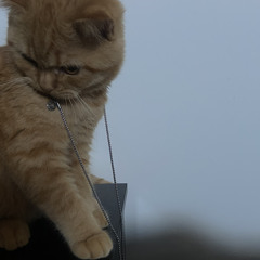 STINKY ft blue bill$ prod. ZTBEATS