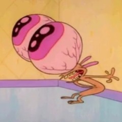 you should see the other guy