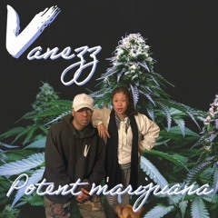 POTENT MARIJUANA