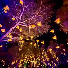 🎏💤botanica899887