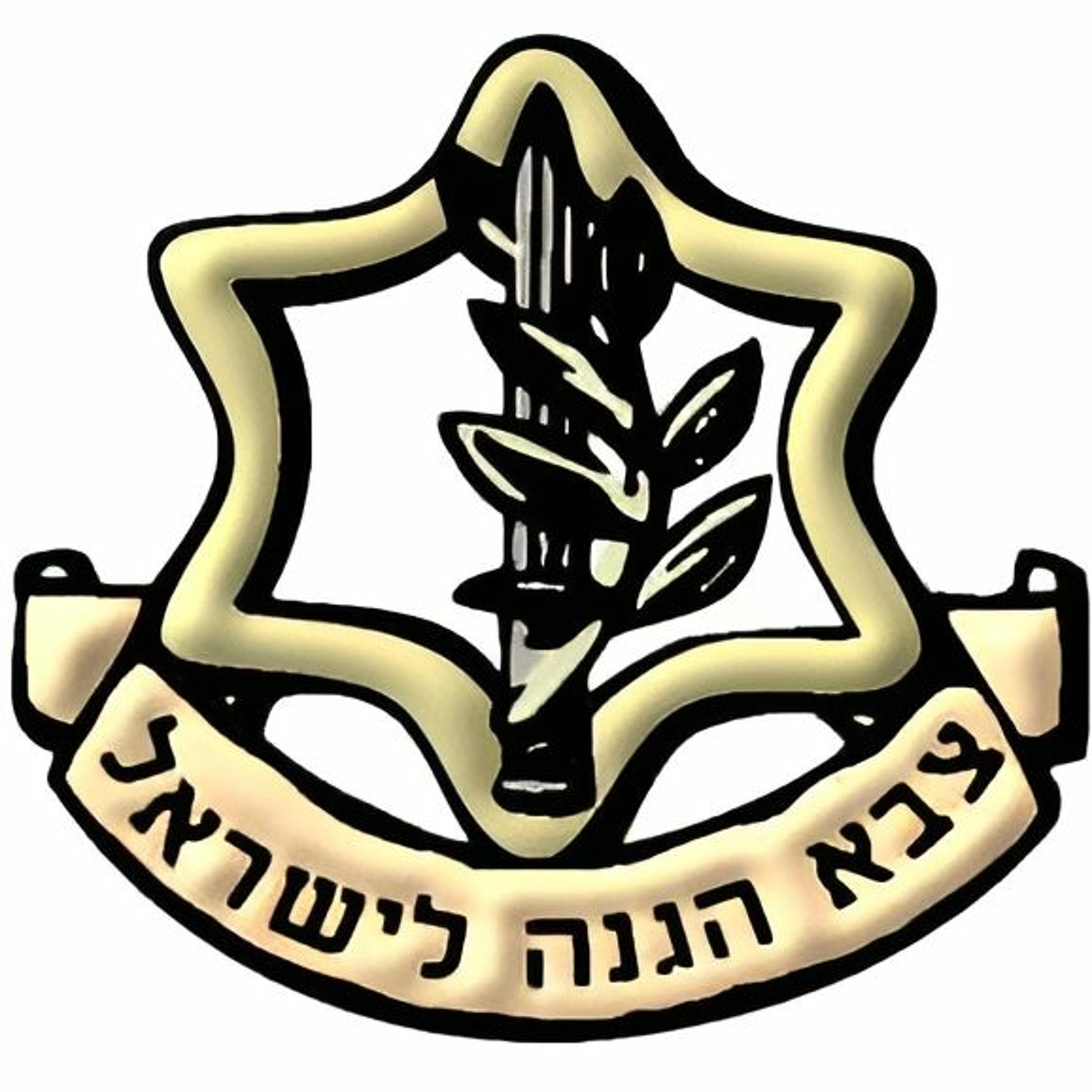 Thanks To The IDF Soldiers - תודה לחיילי צה'ל episode artwork