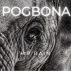 MR. RAIN - POGBONA