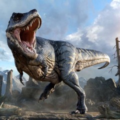 Trex - Y