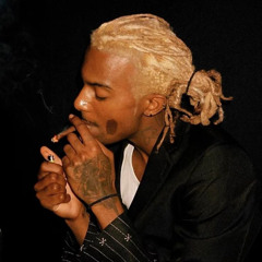 playboi carti WLR v2 mix