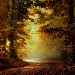 Samed BOSS  - Twilight Soundtrack