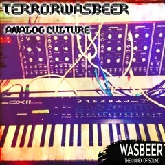 Terrorwasbeer - Analog Culture