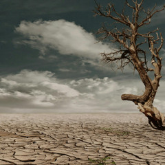 Desert Dream Arabian Trap