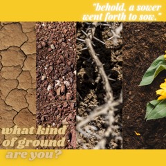 What Kind of Ground Are You?