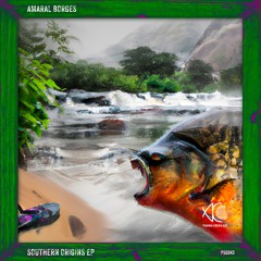 Amaral Borges - Mars Surface (BLOMAQ Remix)
