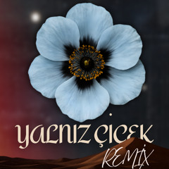 Aleyna Tilki Yalnız Çiçek (Mert Sutcuoglu Remix ) Extended