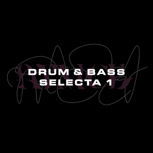 DRUM & BASS SELECTA N*1 (mixed)