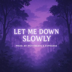 Let Me Down Slowly [prod. motybeats x evphoria]