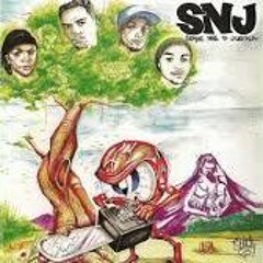SNJ Pensamentos Viki Acoustic Cover