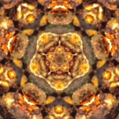 Polarize