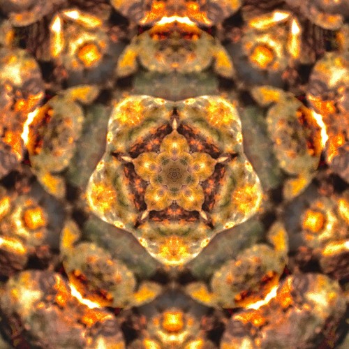 Polarize
