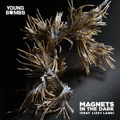 Magnets in the Dark (feat. Lizzy Land)