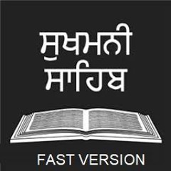 Bhai Niranjan Singh_Sukhmani Sahib (Fast) - Full Paath