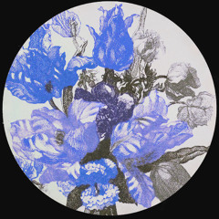 Aviór - Take Take
