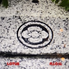 Lotus
