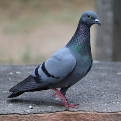 Days Go Bye As You Move For Me