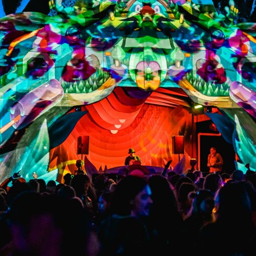 Samwise (AUS) - Mushroom Valley 2021