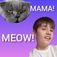 on MAMA! MEOW!