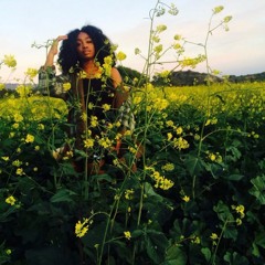 sephora (anything outro) - SZA