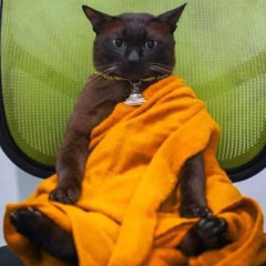 dangerous men dont surprise me