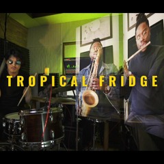 Tropical Fridge