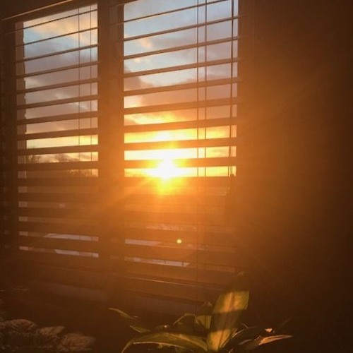 Die Sonne in deinem Zimmer RMX
