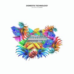 Domestic Technology - Last Day of Summer (Original Mix)