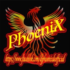 Phoenix @ The Tribe Trafic Cologne 10.02.2024