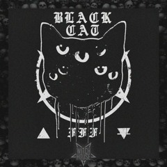 BLVCK CAT - ТЫ УШЁЛ