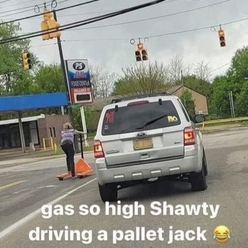 pete moss, CEO and founder of peat moss