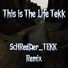 This is The Life Tekk [ScHRedDerTEKK Mix]