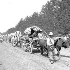 Duke Ellington: Caravan. Reprod for two pianos & Bass on a live seq. of Doug McKenzie-vby VVer2