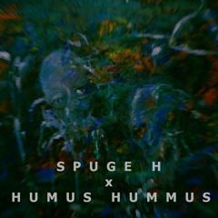 Spuge H x Humus Hummus - SoWhat(I Don't Know Remix)
