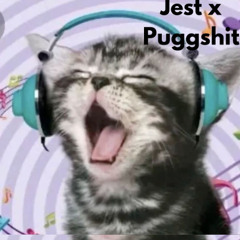 [Fakemink] Plugg Shyt - Jest. x puggshit