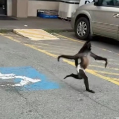 Birthday Cake [b3anie]