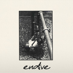 Voice Without A Face