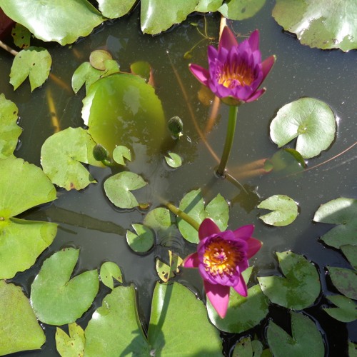 E Rằng Không Dễ