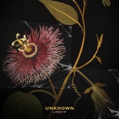 Unknown - LMBYF