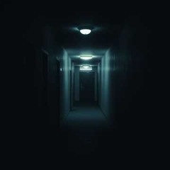 the dark corridor