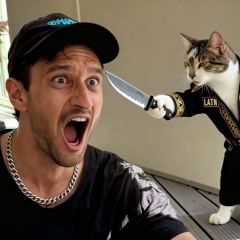 roli made me do it..