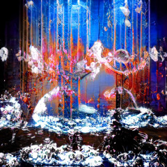 HÉRISSÉ - Plexiglas