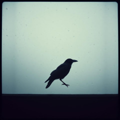Nevermore