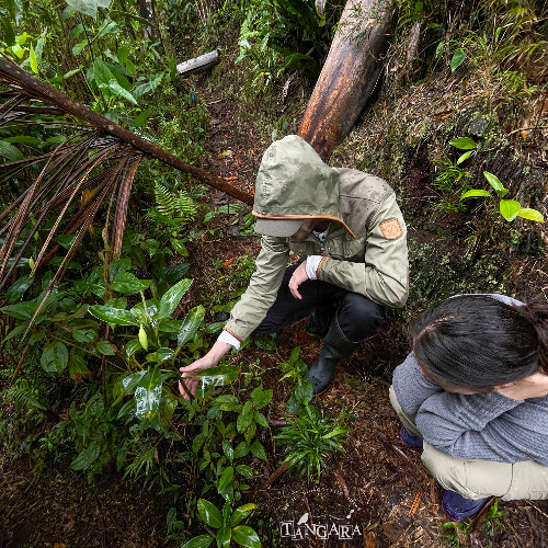 091224 / Play Flora / Marisol y Jonathan / ACP El Palmeral