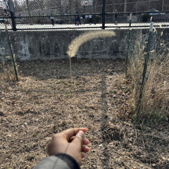 Put your weight up on me